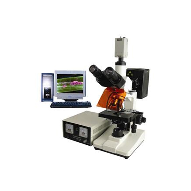 改性沥青专用荧光检测显微镜BSM-300系列